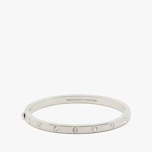 Set in Stone Hinged Silver Bangle